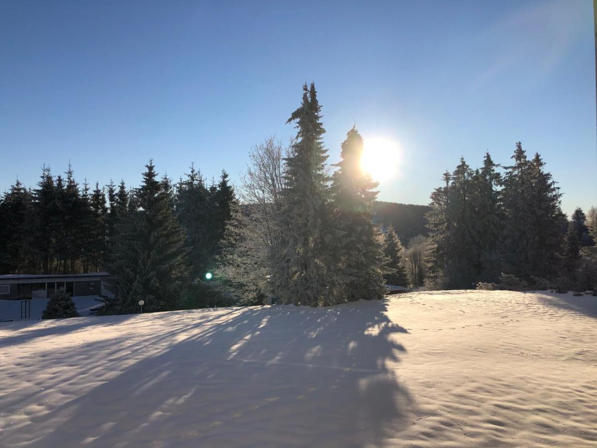 Bocksbergglueck In Hahnenklee, Endreinigung, Bezogene Betten, Handtuecher Inklusive Гослар Екстер'єр фото
