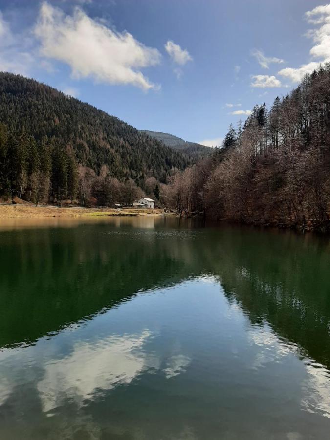 Bocksbergglueck In Hahnenklee, Endreinigung, Bezogene Betten, Handtuecher Inklusive Гослар Екстер'єр фото