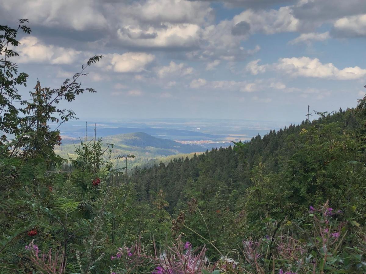 Bocksbergglueck In Hahnenklee, Endreinigung, Bezogene Betten, Handtuecher Inklusive Гослар Екстер'єр фото