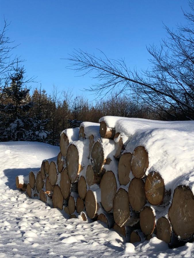 Bocksbergglueck In Hahnenklee, Endreinigung, Bezogene Betten, Handtuecher Inklusive Гослар Екстер'єр фото